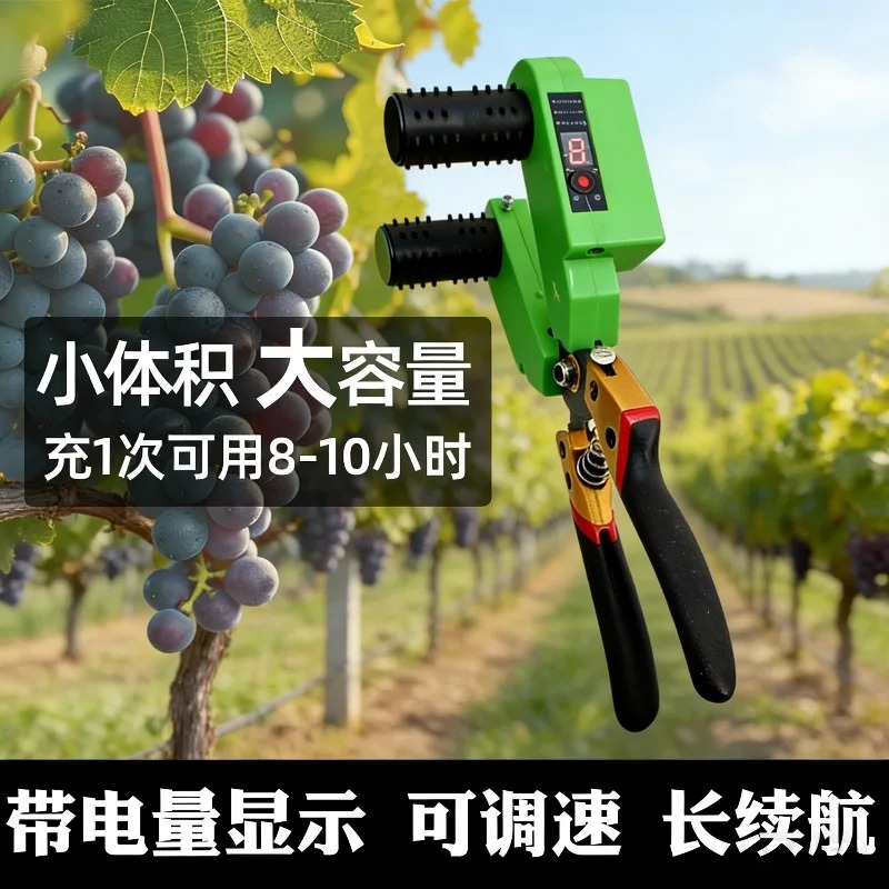 電動ブドウ花・果実間引き機、ブドウの芽取り用スマートピッカー - Smart Garden Tools のレビューと価格