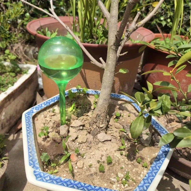 6個入り 室内植物用自動給水ボール 自動植物花水球 ドリップ - Smart Garden Watering のレビューと価格