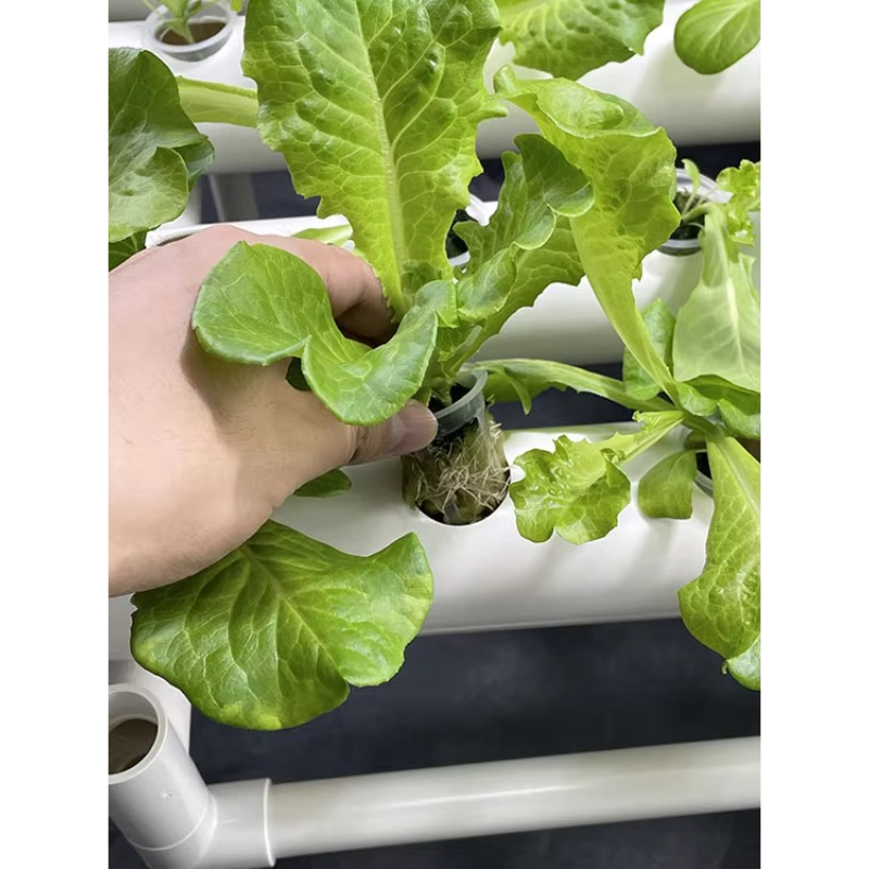 108穴水耕栽培キット3層アクアポニックス栽培システム家庭用 - Aquaponics Home Kit のレビューと価格