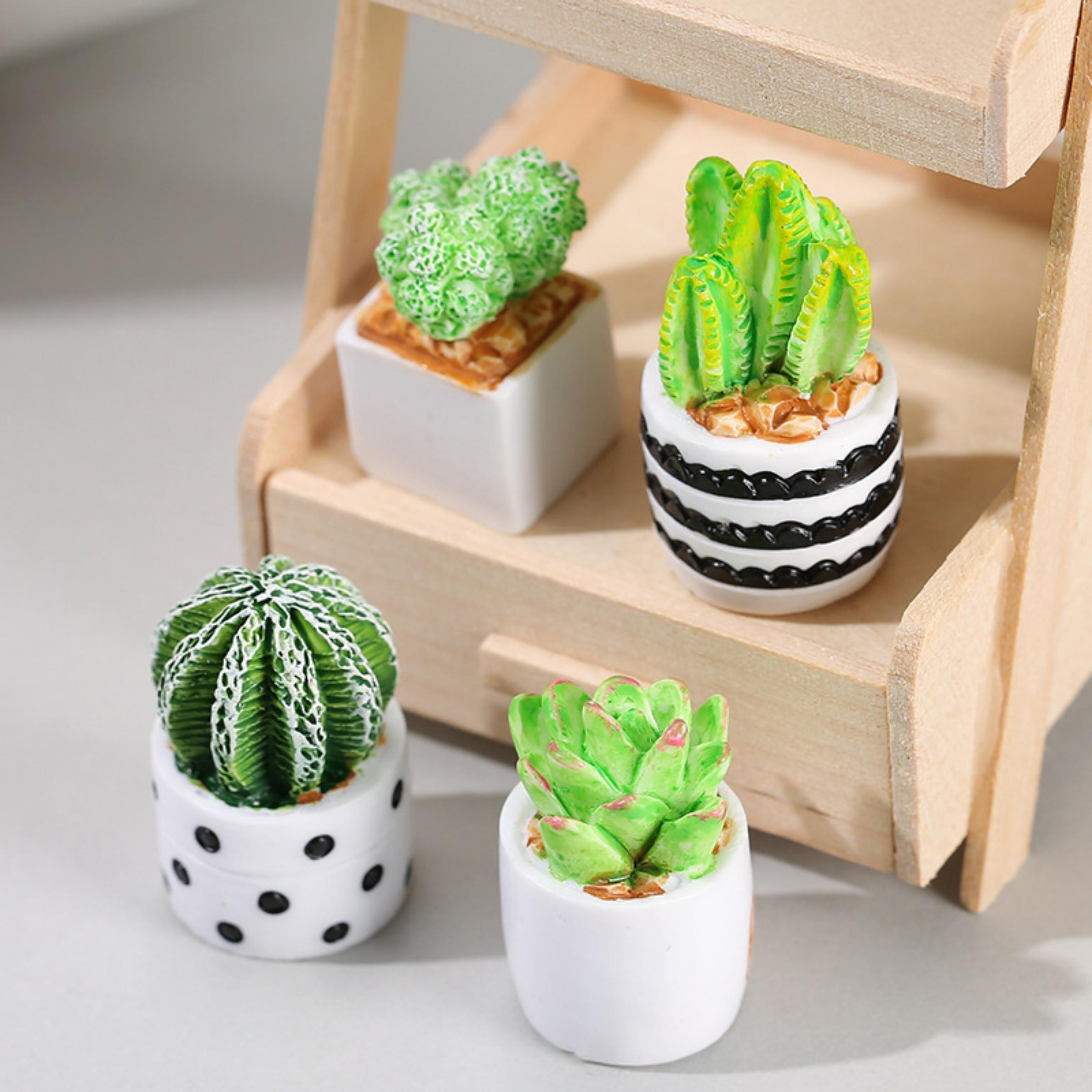 サボテン多肉植物の鉢植え4点セット、フェアリーガーデンアクセ - Smart Garden Mini のレビューと価格
