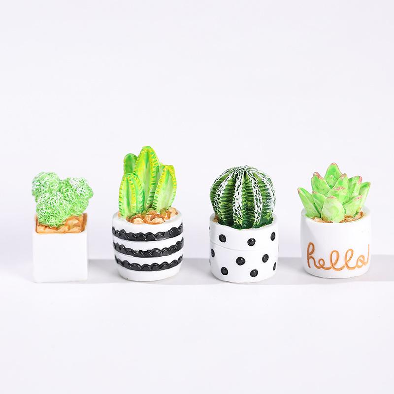 サボテン多肉植物の鉢植え4点セット、フェアリーガーデンアクセ - Smart Garden Mini のレビューと価格